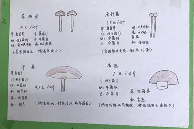 学生作品：调查表